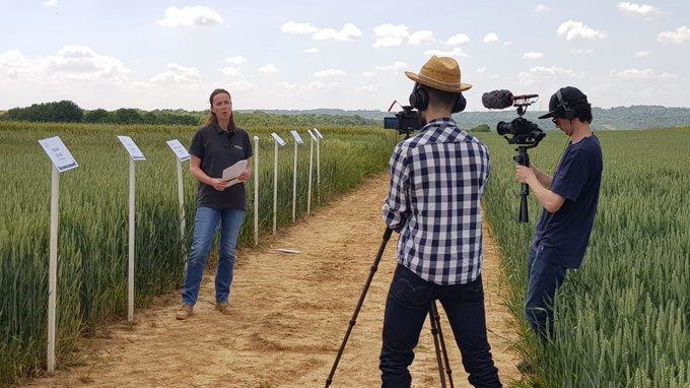 Chez Valfrance, les experts vont commenter les parcelles d’essais au cours d’un webinaire.